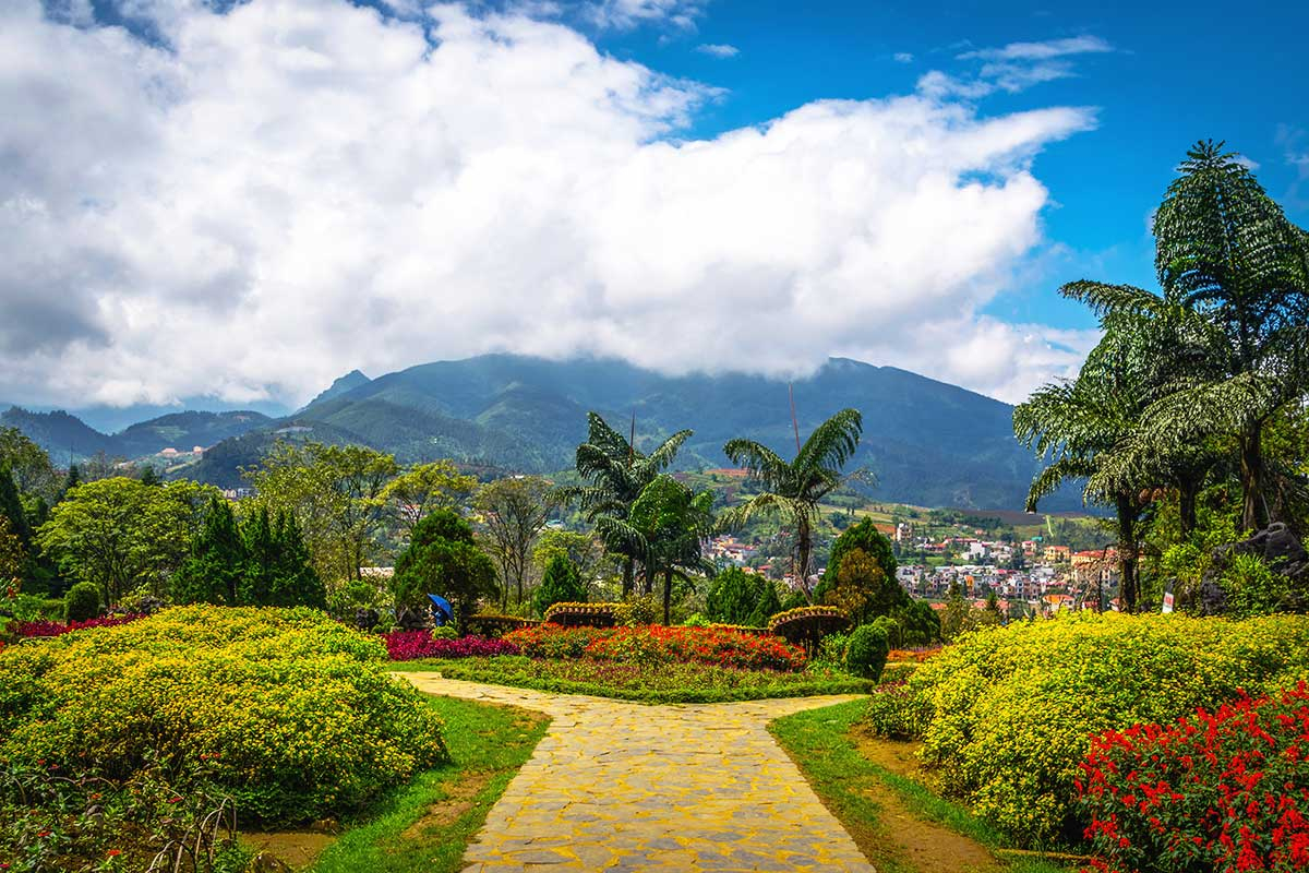 Ham Rong Mountain offers winding garden paths, panoramic viewpoints, and a dreamy escape into nature 